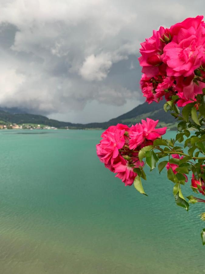 Hotel - Restaurant Eierhals Am Aegerisee Oberägeri Екстериор снимка