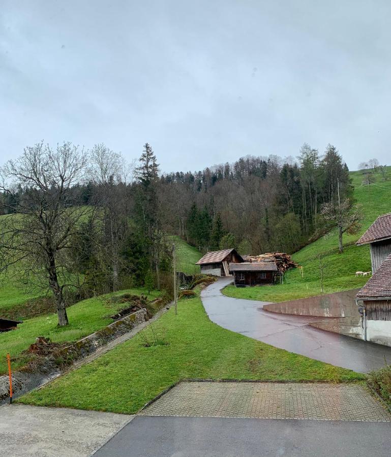 Hotel - Restaurant Eierhals Am Aegerisee Oberägeri Екстериор снимка